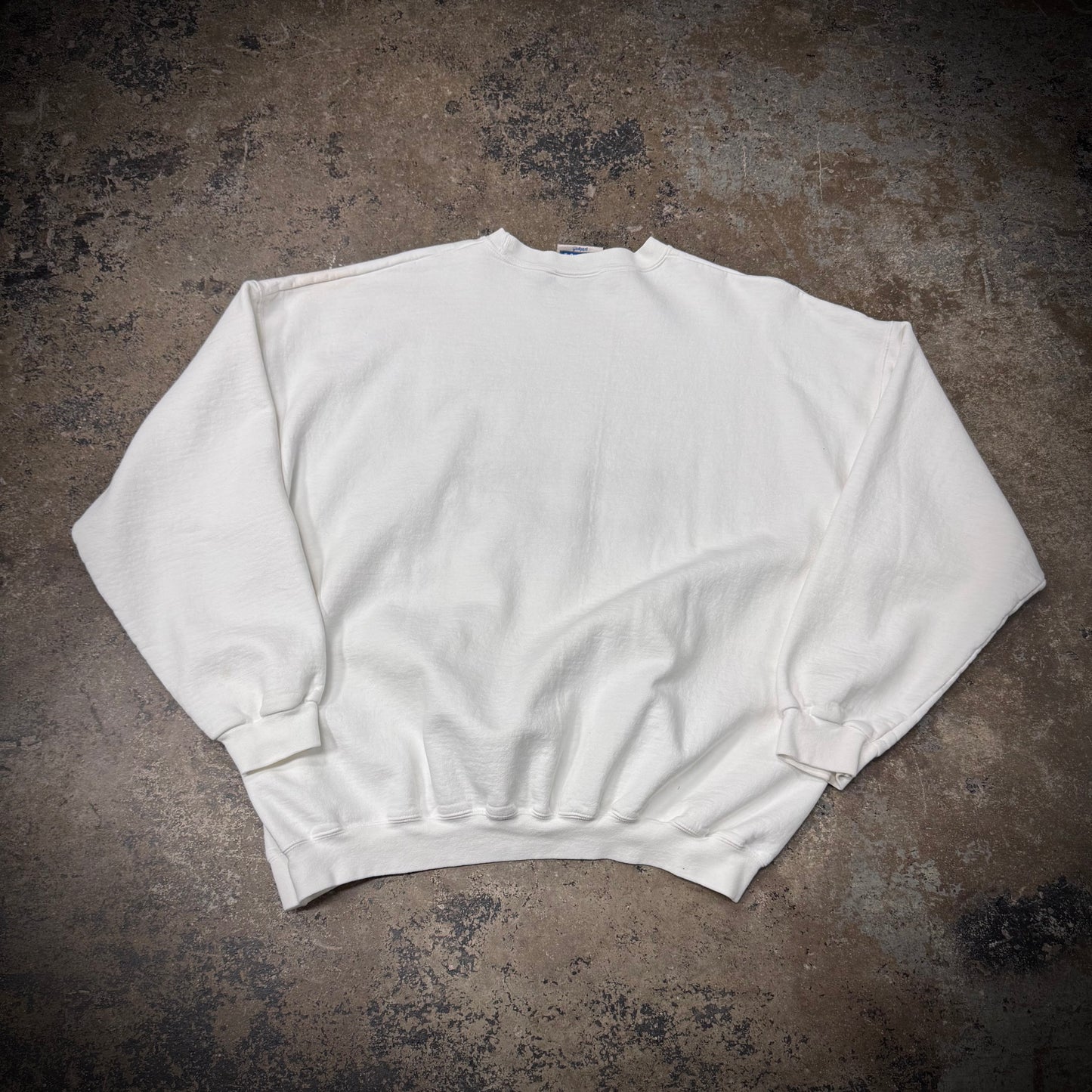 Vintage 90s Richardology Study of Dick Embroidered Heavy Cotton Crewneck Sweatshirt