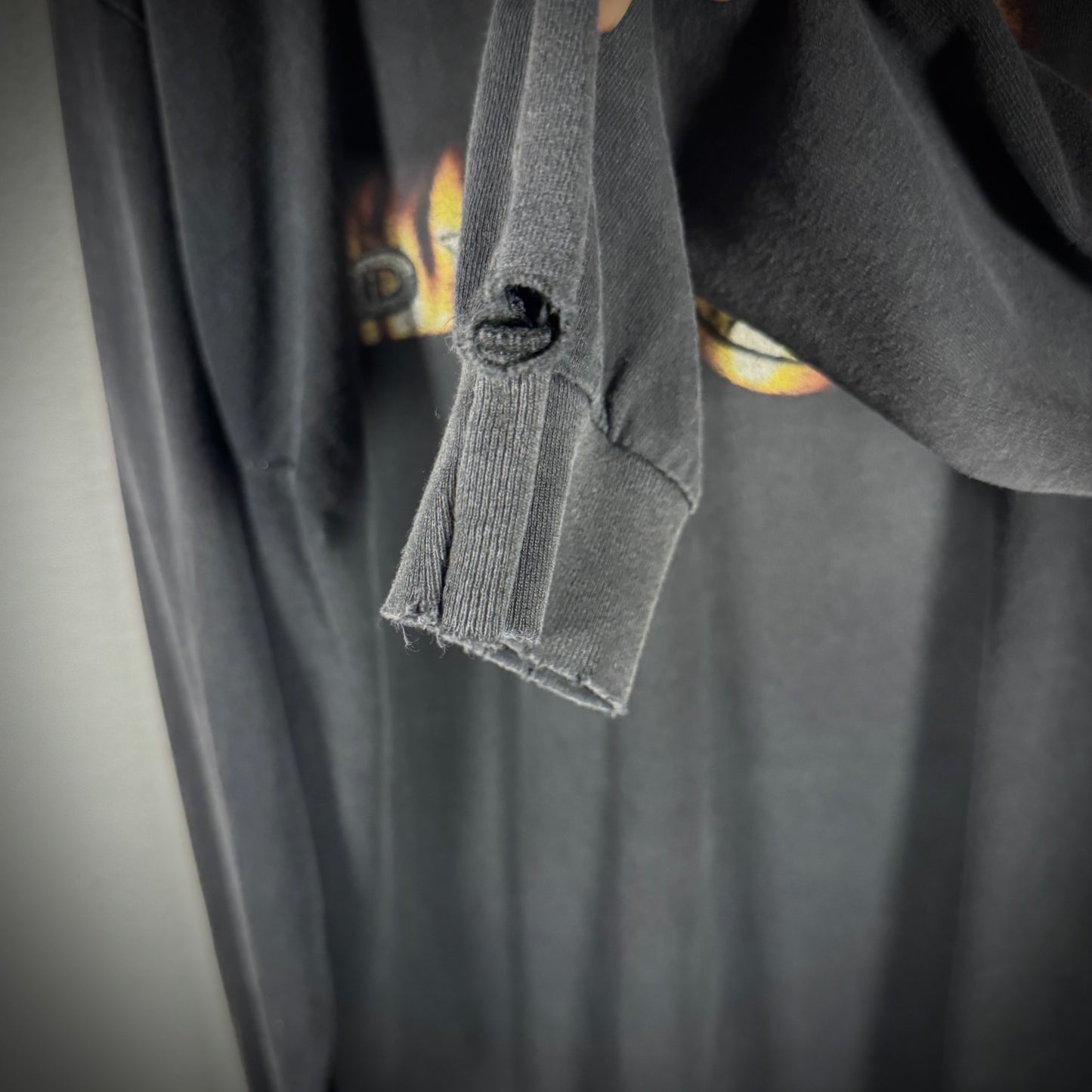 Vintage Disturbed Distressed L/S Band Tee